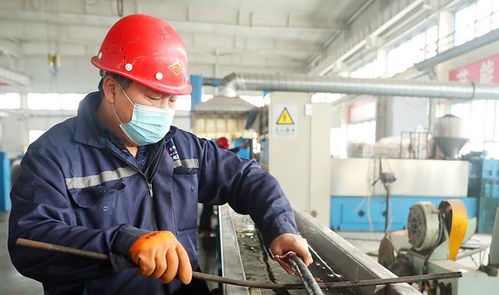 越底層的人越要學(xué)英語, 儲(chǔ)殷教授批判血汗工廠, 技工出路在國(guó)外